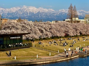 観光地域づくり支援事業費補助金制度のお知らせ